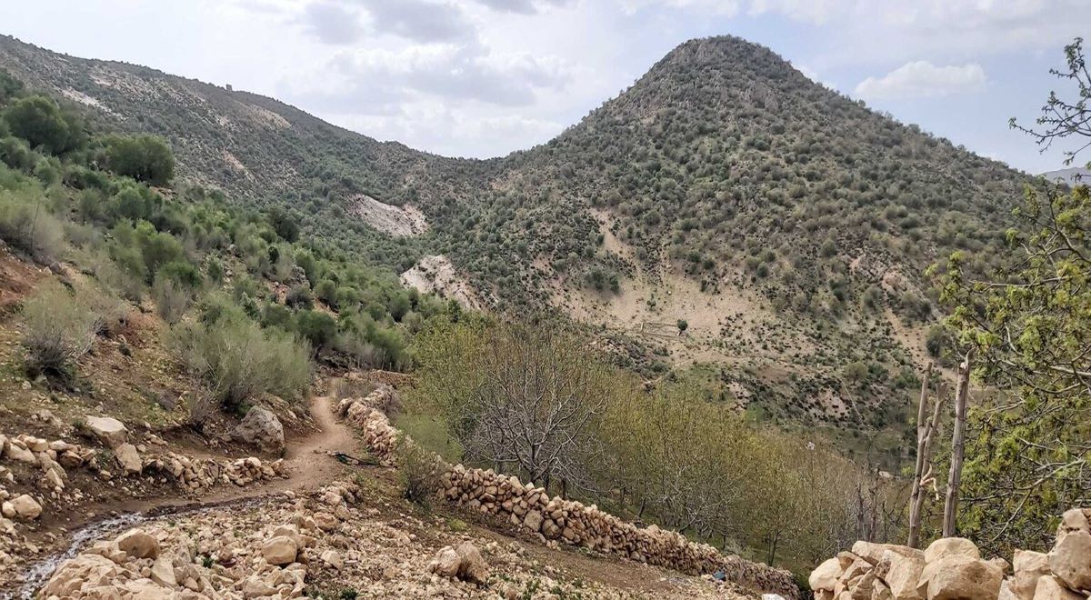 طبیعت تابستان ایلام منطقه گچان